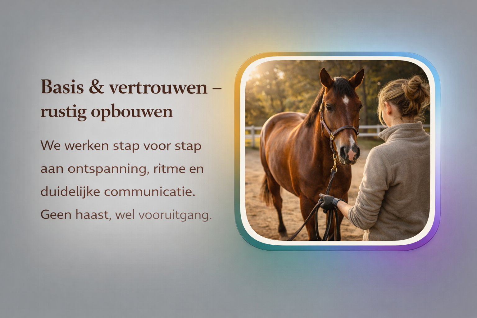 Basis & vertrouwen – rustig opbouwen